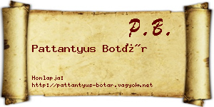 Pattantyus Botár névjegykártya